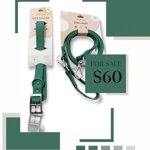 wild one forest green leash and collar set